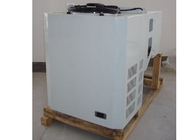 Unidad de refrigeración de HP Monoblock de la conservación en cámara frigorífica 3 para el congelador montado en la pared